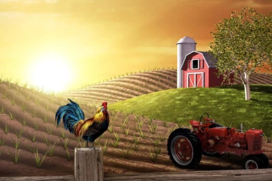 Sunrise Farm   Wallpaper.