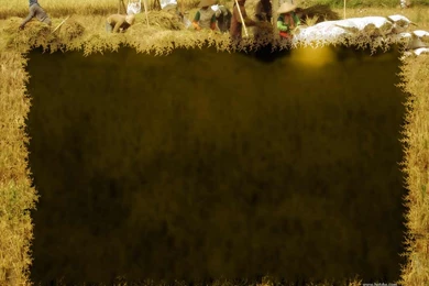 Free Chicken Manufacturing Farm Backgrounds For PowerPoint ...