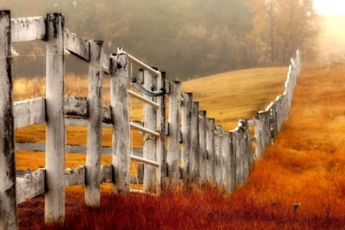 Farm Fence