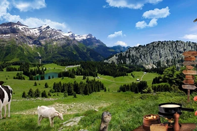 Small Farm On The Turtle Wallpapers