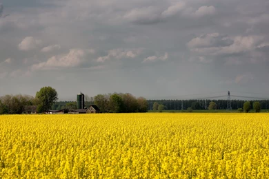 Ultra HD 4K Farm Wallpapers HD, Desktop Backgrounds 3840x2400