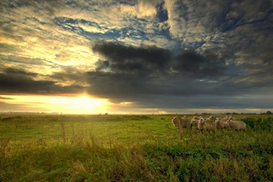 Gallery For   Farm Scene Wallpapers