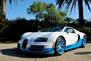 Download Wallpapers 3840x2400 Bugatti, Veyron, Vitesse, Blue, Palm ...