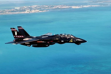 Grumman F 14 Tomcat Computer Wallpapers, Desktop Backgrounds ...