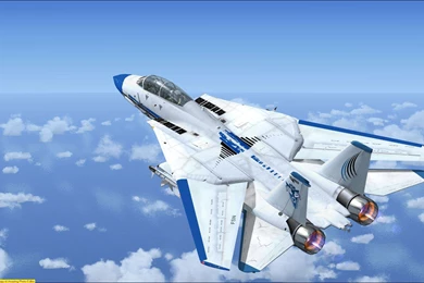 Tomcat Wallpapers >> Backgrounds With Quality HD