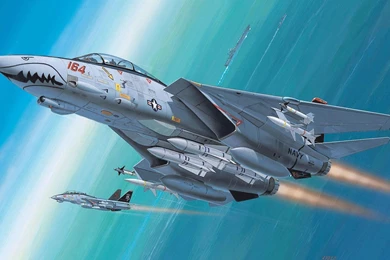 Grumman F 14 Tomcat Fighter Interceptor Navy AVIANISETS Missiles ...