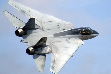 F14 tomcat sweptback 2.jpg