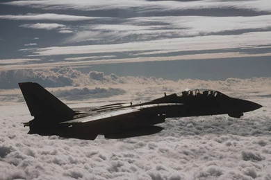 Fighter Aircraft, F 14 Tomcat, United States