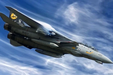 F 14 Tomcat F 14 Air Aircraft Fighter Wallpapers