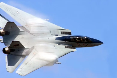 F 14 Tomcat   1785447