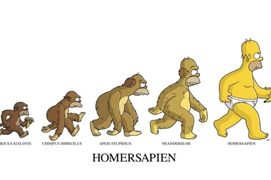 Simpsons Castellaneta Life Wallpapers Funny Uhd Wallpapers   Ultra ...