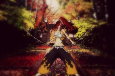 Erza Scarlet   Temple Computer Wallpapers, Desktop Backgrounds ...