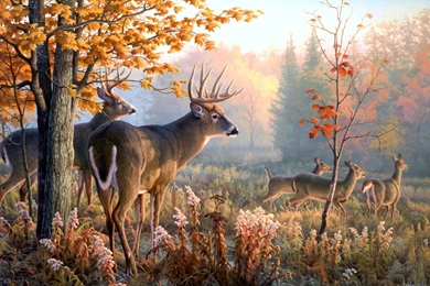Gallery For   Free Animated Hunting Wallpapers