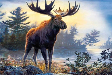 Northwoods Moose Animal Beautiful Deer Wildlife Painting Art ...