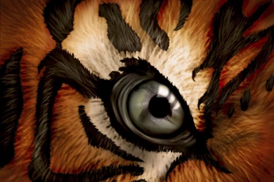 Eye Of The Tiger By DriveByArtist On DeviantArt