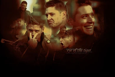 Shattered Memories • Fanart & More — Version 10, The Vampire Diaries