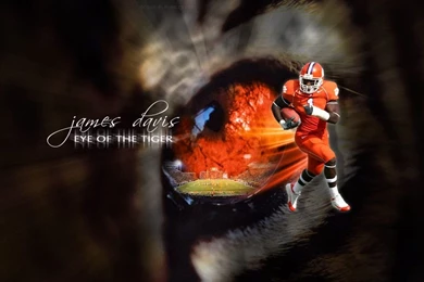 Gallery For   Clemson Tiger Wallpapers