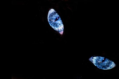 Black And Blue Wallpapers Abstract Abstract Wallpapers Black And ...