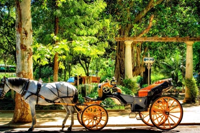 Park At Seville Spain Wallpapers