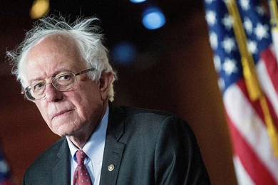 Can Bernie Sanders Win Working Class Votes?