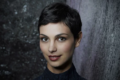 Pumpkin Pie   Wallpaper.