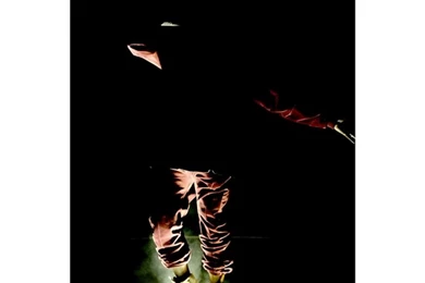 Screen Shot 2015 02 09 at 10.01.44 PM.png