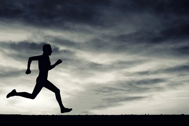 Run 51653   Outdoors   Figure