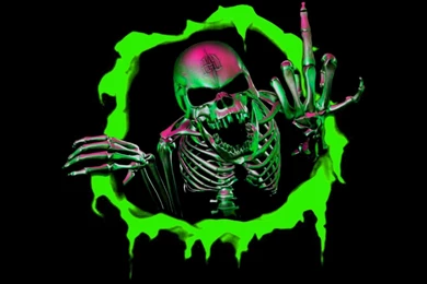 Gallery For   Green Skull Wallpapers