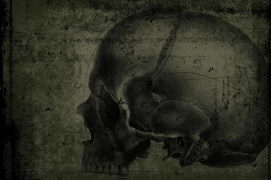 Green_Skull 514210.jpeg