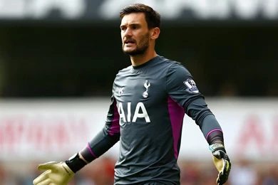 Hugo Lloris   Tottenham Hotspur   Best Saves   2014/15 HD   YouTube