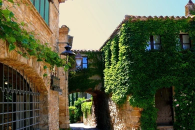 Ivy Covered Houses In Catalonia Spain Wallpapers