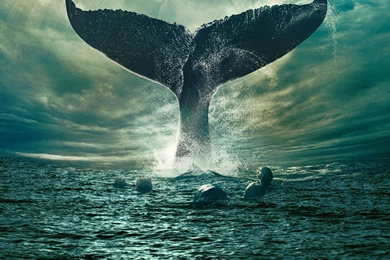 In The Heart Of The Sea Wallpapers 1920x1080 By Sachso74 On DeviantArt