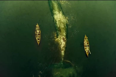 IN THE HEART OF THE SEA Trailer 11 December 2015   YouTube