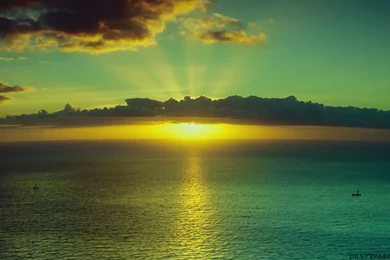 In The Heart Of The Sea