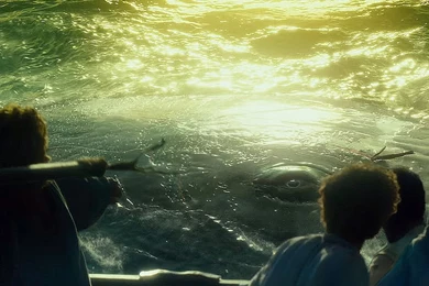 Cinderella 2016 Movie Wallpapers 53