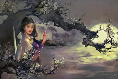 Beautiful Sundance   (