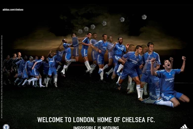 Fernando Torress Android Mobile Professional Football Tips ...