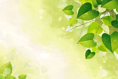 Artworks, Cool Wallpapers, High Resolution Backgrounds, Windows ...