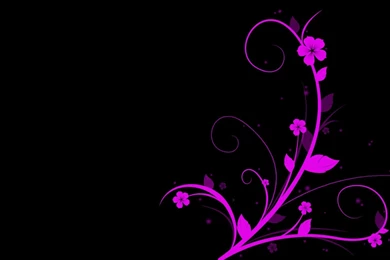 Pink And Black Wallpapers Designs 8 Backgrounds Wallpapers ...