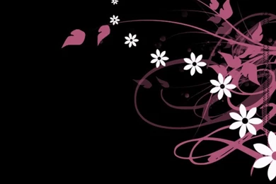 Pink White And Black Wallpapers 2015 Grasscloth Wallpapers