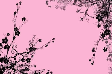 Black And Pink Floral Wallpapers