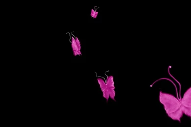 Hot Pink Backgrounds For Desktop 14 Backgrounds Wallpapers ...