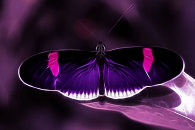 Celebrations Archives   Page 9 Of 18   Free Desktop Wallpapers ...