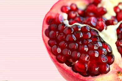 Gallery For   Pomegranate Wallpapers