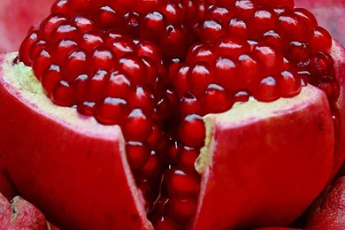 Pomegranate