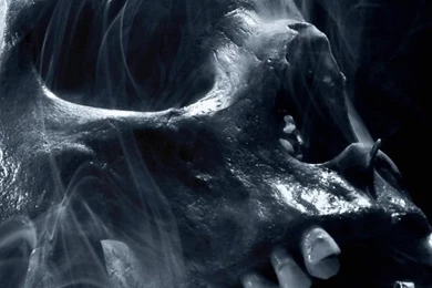 Wallpapers Iphone 5 S Smoking Skull 640 X 1136   640 X 1136 ...