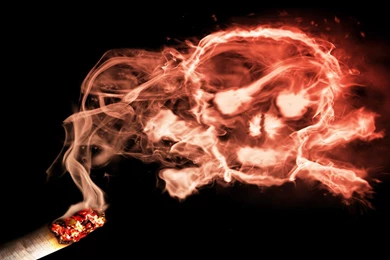 Wallpaper, Skull   1580484