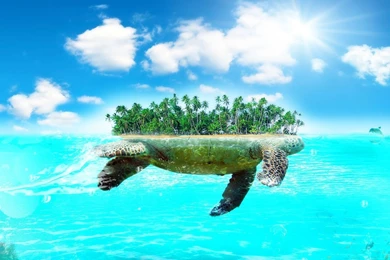 1920x1080 Turtle Island Desktop PC And Mac Wallpapers