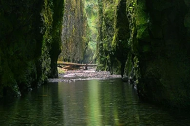 Gallery For Iphone Wallpapers Subliminal