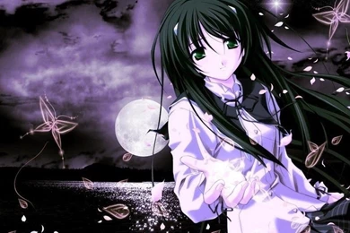 Wallpapers Bouglle Gallery